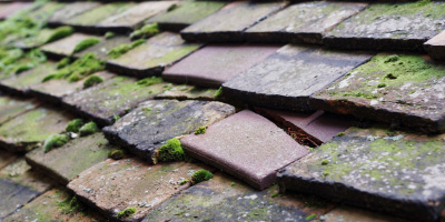 Horton roof repair costs